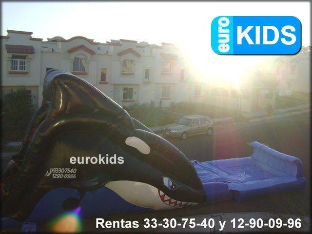 renta de rockolas y brincolines